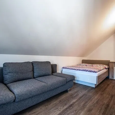 Apartment Francka